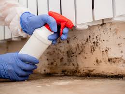 Best Environmental Consulting for Mold Prevention in Kensington, CA